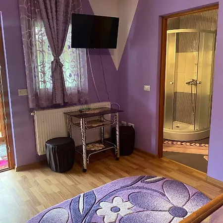 Guest house Pensiunea Ioana Mariana