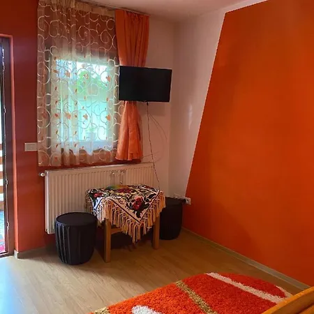 Guest house Pensiunea Ioana Mariana Botiza