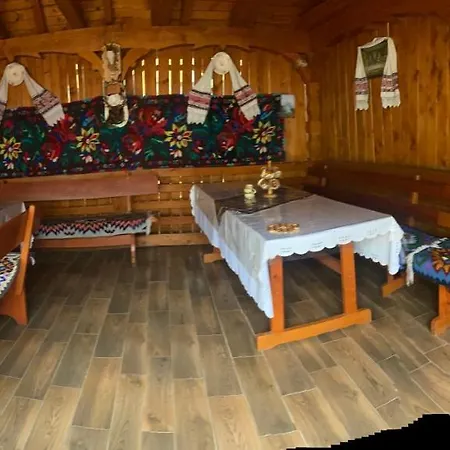 Pensiunea Ioana Mariana Guest house Botiza