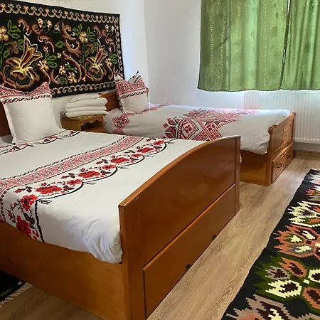 Pensiunea Ioana Mariana Guest house