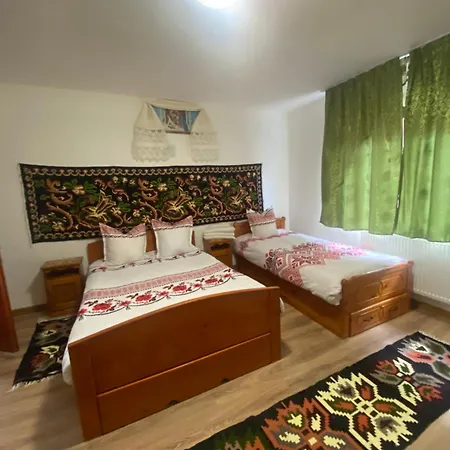 Guest house Pensiunea Ioana Mariana Botiza